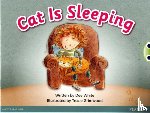 White, Dee - Bug Club Guided Fiction Reception Pink A Cat is Sleeping