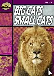 Reid, Dee - Rapid Reading: Big Cats Small Cats (Stage 1, Level 1A)