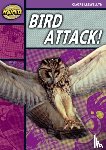 Llewellyn, Claire - Rapid Reading: Bird Attack! (Stage 1, Level B)