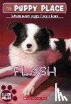 Miles, Ellen - Miles, E: Flash (the Puppy Place #6)