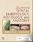 Fehrenbach, Margaret J. (Oral Biologist and Dental Hygienist; Previous Adjunct Instructor, Popowics, Tracy (Associate Professor - Illustrated Dental Embryology, Histology, and Anatomy