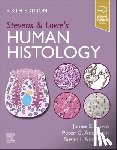 Lowe, James S. (Emeritus Professor of Neuropathology, Anderson, Peter G. (Professor of Molecular and Cellular Pathology, Anderson, Susan I. - Stevens & Lowe's Human Histology