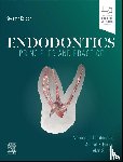  - Endodontics