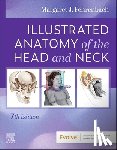 Fehrenbach, Margaret J. (Oral Biologist and Dental Hygienist; Previous Adjunct Instructor - Illustrated Anatomy of the Head and Neck