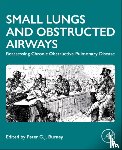  - Small Lungs and Obstructed Airways