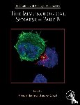  - The Immunological Synapse - Part B