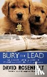 Rosenfelt, David - BURY THE LEAD