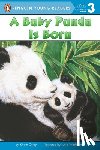 Ostby, Kristin - A Baby Panda Is Born