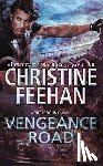 Christine Feehan - Vengeance Road