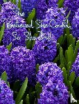 Journals, June Bug - She Believed She Could, So She Did