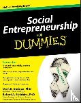 Durieux, Mark, Stebbins, Robert - Social Entrepreneurship For Dummies