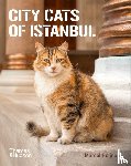 Heijnen, Marcel - City Cats of Istanbul
