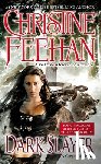 Feehan, Christine - Dark Slayer