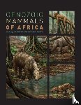 Lars Werdelin, William Joseph Sanders - Cenozoic Mammals of Africa