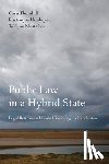 Thornhill, Chris, Urinboyev, Rustamjon, Mustafoev, Tolibjon - Public Law in a Hybrid State