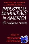  - Industrial Democracy in America - The Ambiguous Promise