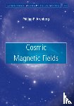 Kronberg, Philipp P. (University of Toronto) - Cosmic Magnetic Fields