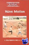 Billingham, J. (University of Birmingham), King, A. C. (University of Birmingham) - Wave Motion