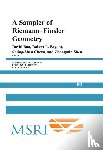  - A Sampler of Riemann-Finsler Geometry