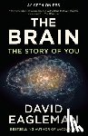 David Eagleman - The Brain