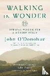 O'Donohue, John - Walking in Wonder