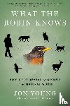 Young, Jon - What the Robin Knows