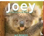 Bishop, Nic - JOEY A BABY KOALA & HIS MOTHER