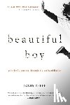 David Sheff, Sheff - Beautiful Boy