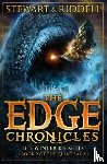 Stewart, Paul, Riddell, Chris - The Edge Chronicles 2: The Winter Knights