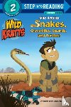 Kratt, Chris, Kratt, Martin - Wild Reptiles: Snakes, Crocodiles, Lizards, and Turtles (Wild Kratts)