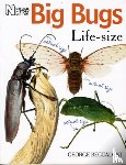 Beccaloni, George - Big Bugs Life-Size