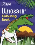Natural History Museum - Dinosaur Colouring Book