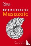 Natural History Museum - British Mesozoic Fossils