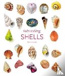 Salvador, Andreia - Interesting Shells