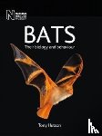 Hutson, Tony - Bats