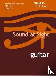 Lee Sollory - Sound at Sight Guitar 2