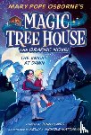 Osborne, Mary Pope, Laird, Jenny - The Knight at Dawn Graphic Novel