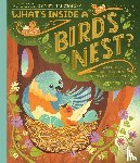 Ignotofsky, Rachel - What's Inside A Bird's Nest?