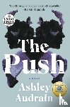 Audrain, Ashley - Push
