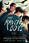Stiefvater, Maggie, Williams, Stephanie - The Raven Boys: The Graphic Novel