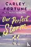 Fortune, Carley - Fortune, C: Our Perfect Storm