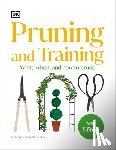 DK - Pruning and Training: What, When, and How to Prune
