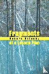 Belenky, Robert - Fragments of a Lesson Plan