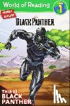 Schmidt, Andy - This Is Black Panther