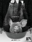 Booth, Pj - Oink