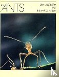 Holldobler, Bert, Wilson, Edward O. - The Ants