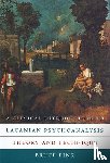 Fink, Bruce - A Clinical Introduction to Lacanian Psychoanalysis