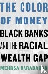 Baradaran, Mehrsa - The Color of Money