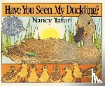 Tafuri, Nancy - HAVE YOU SEEN MY DUCKLING BOAR