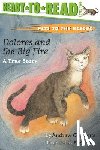 Clements, Andrew - Dolores and the Big Fire: Dolores and the Big Fire (Ready-To-Read Level 1)